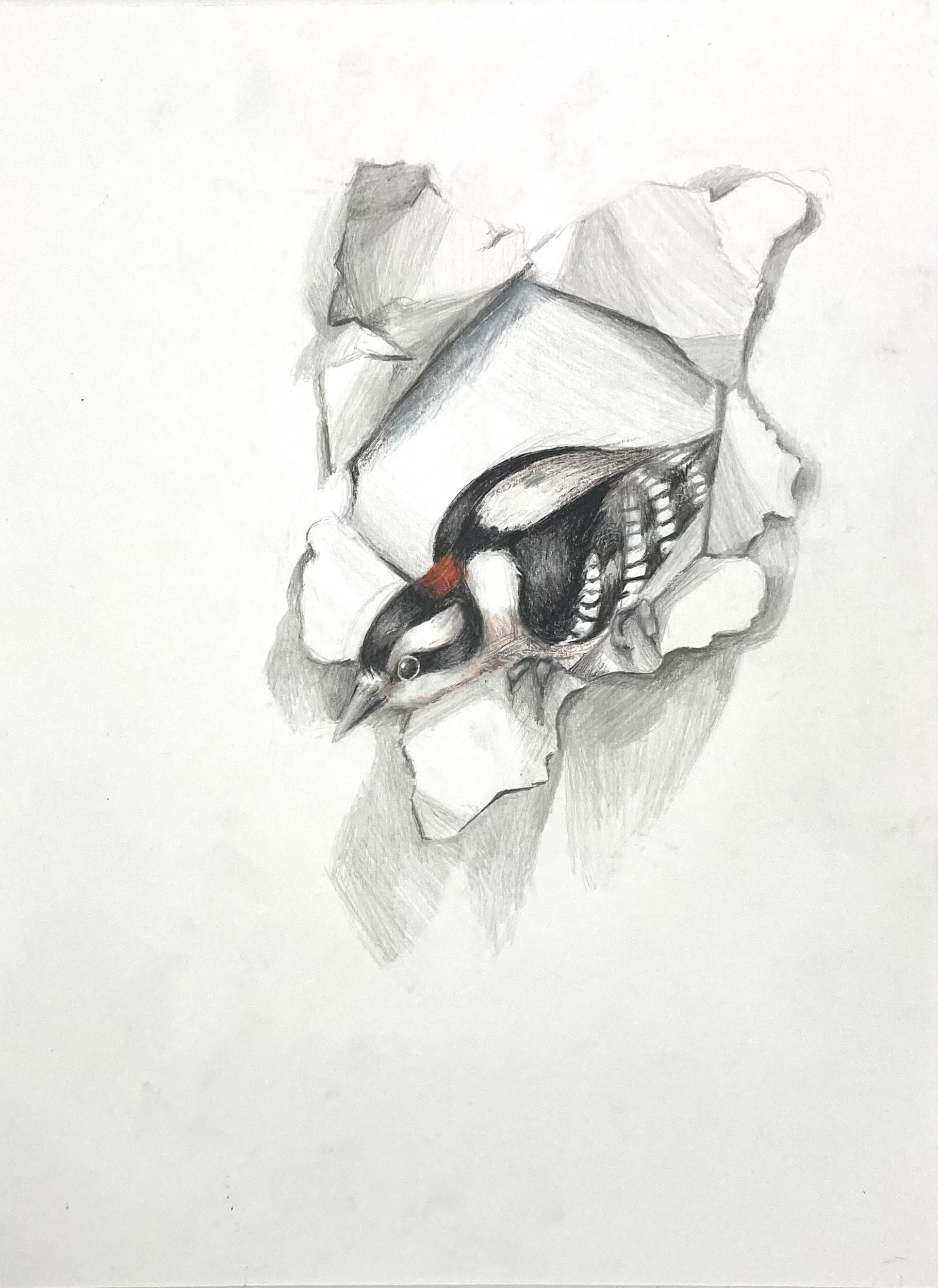 Trompe L'oeil